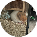 Ingrid Korsten profielfoto